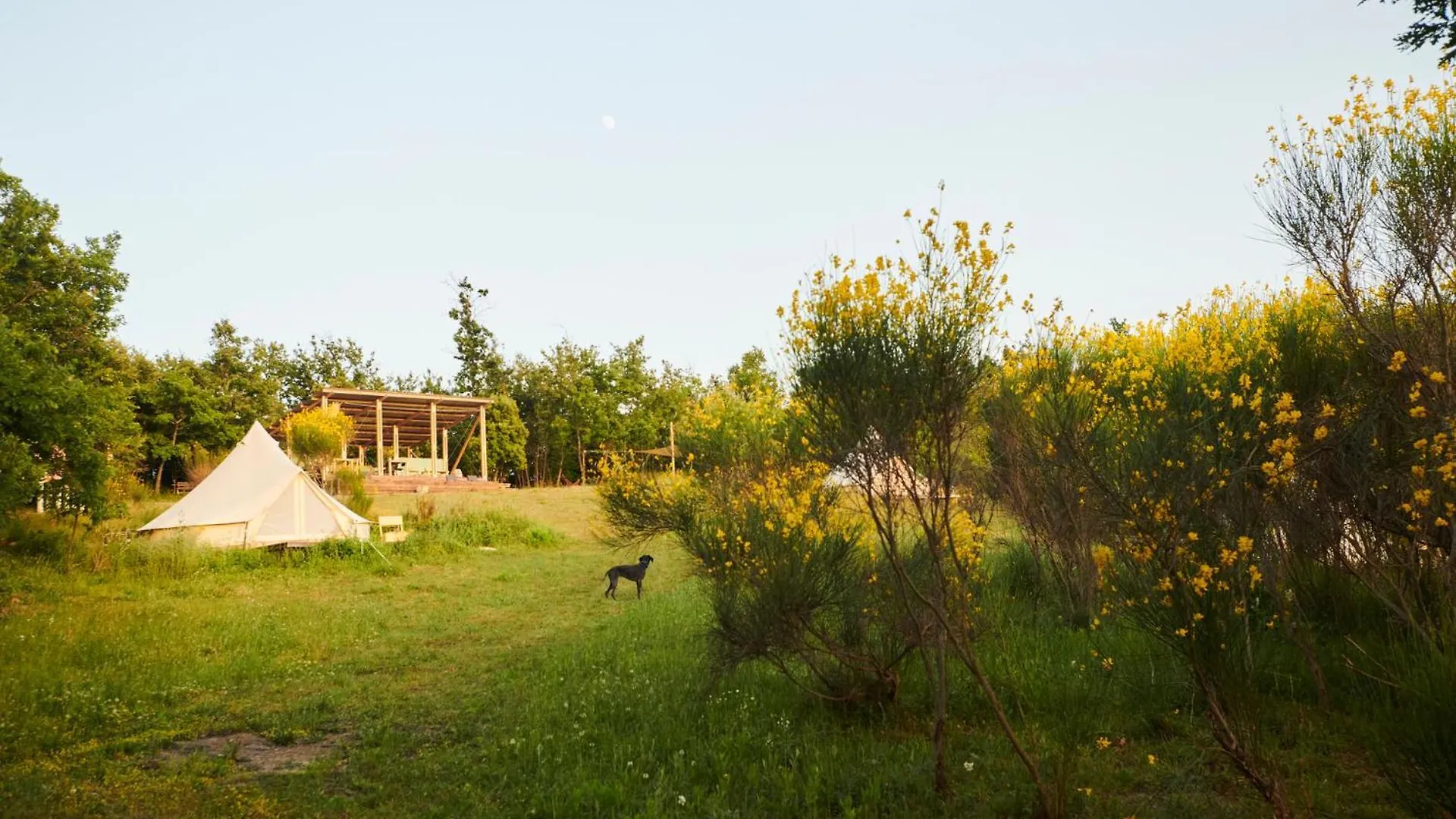 Agricola Ombra Agricamping - Tents In Nature Lajatico 0*,  Italia