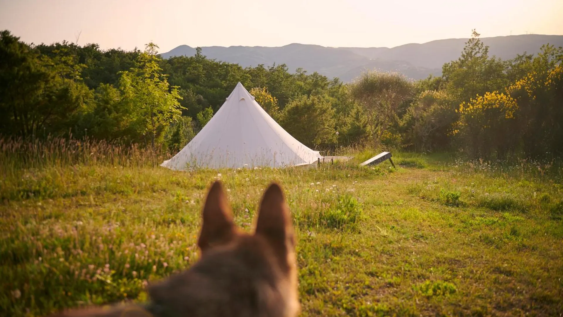 Agricola Ombra Agricamping - Tents In Nature Lajatico